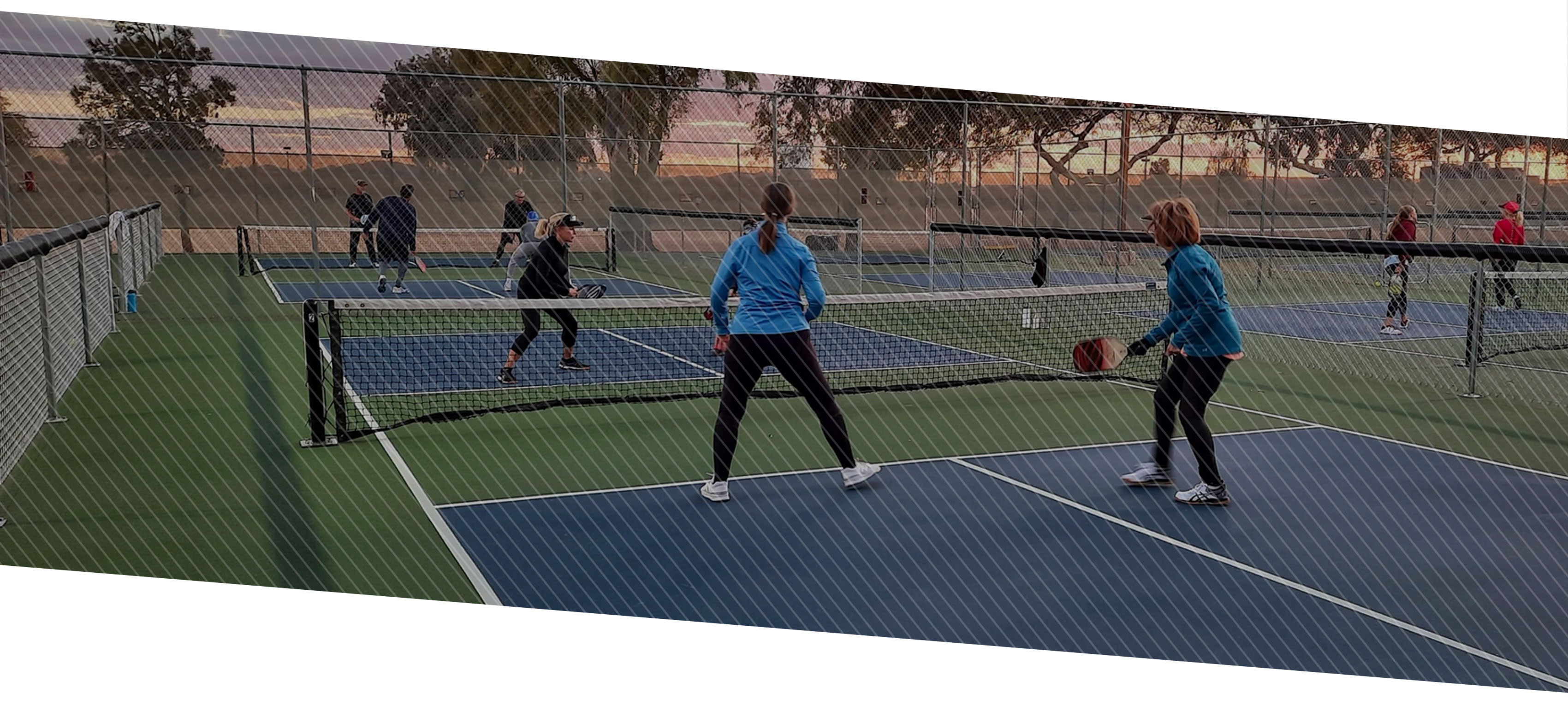 Home Arizona Pickleball Players League